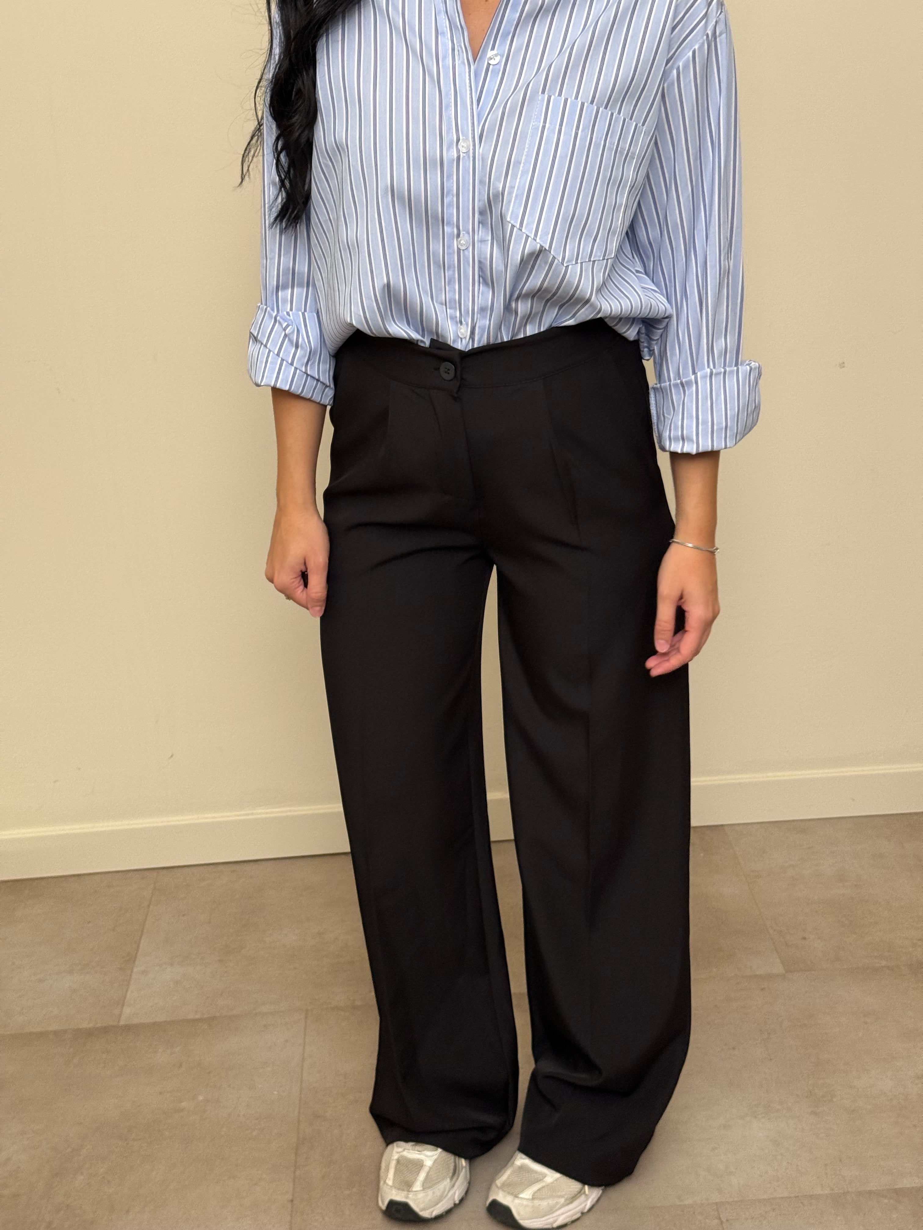 Pantalone palazzo pinces