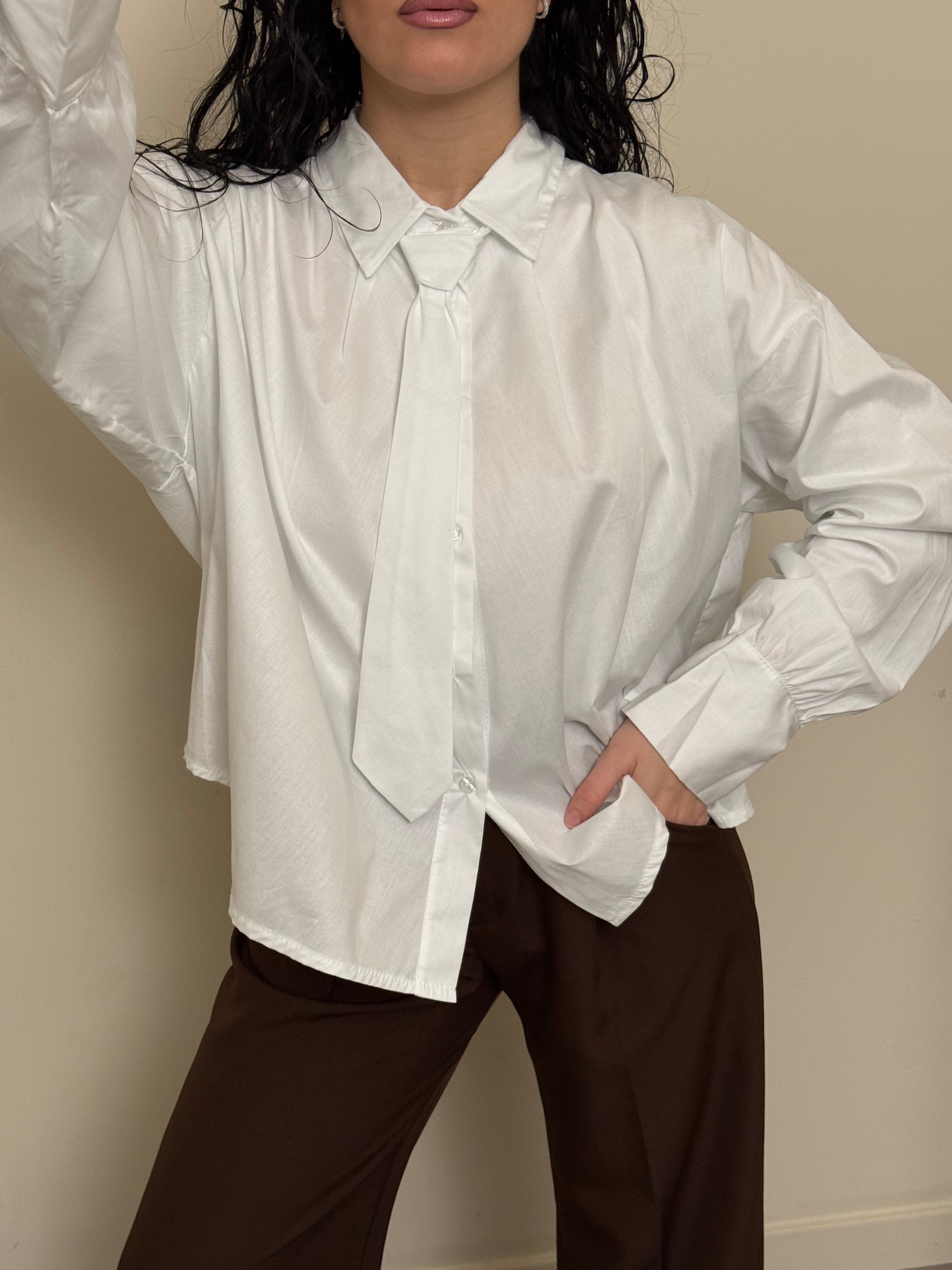 Camicia cravatta bianco freddo